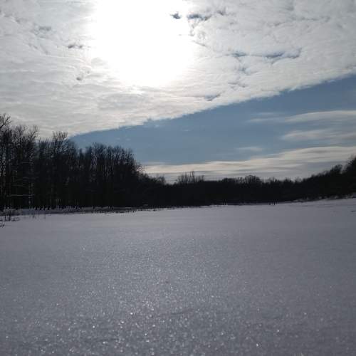 Photo #5923663
