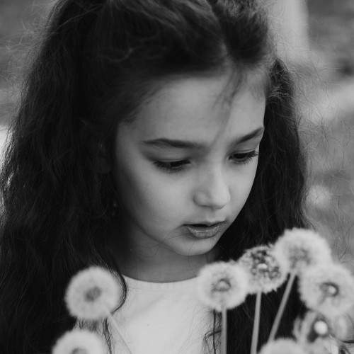 Photo #5924182