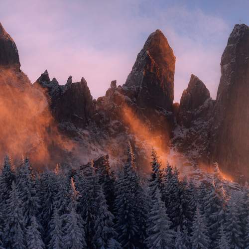 Photo #5924452