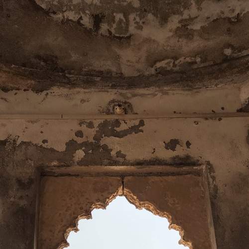 Photo #5924481