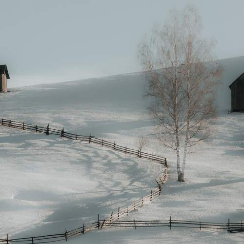 Photo #5924489