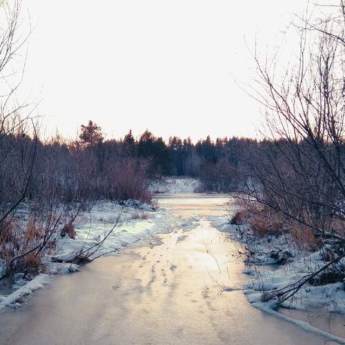 Photo #5924556