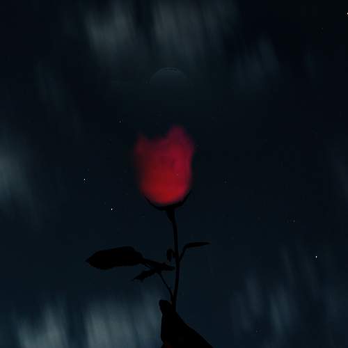 Photo #5924648