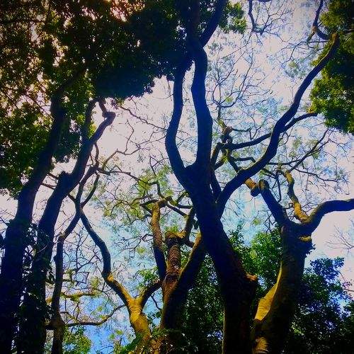 Photo #5925092