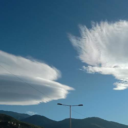 Photo #5925108