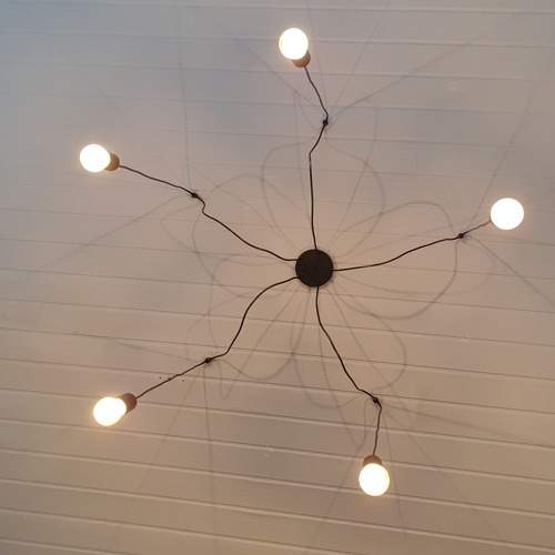 Photo #5925183