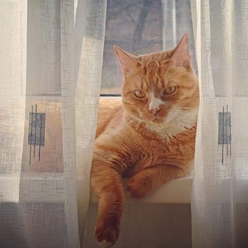 Photo #5925289