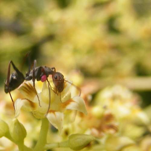 Photo #5925519