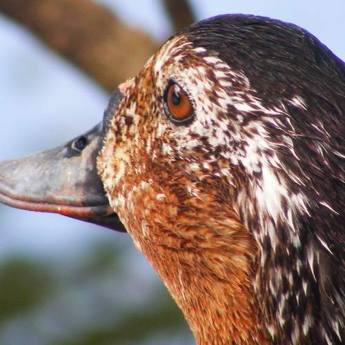 Photo #5925532