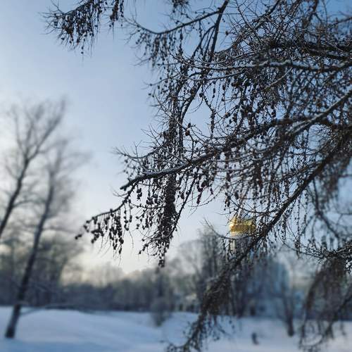 Photo #5925614