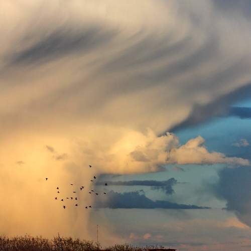 Photo #5925870