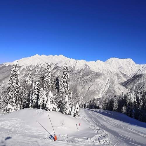 Photo #5925971