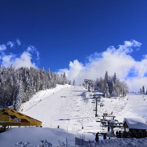 Photo #5926005