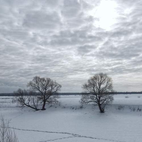 Photo #5926427