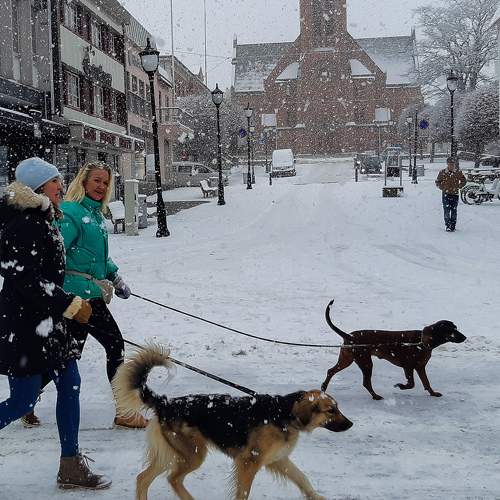 Photo #5926448