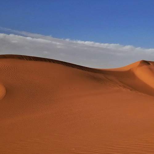 Photo #5926546