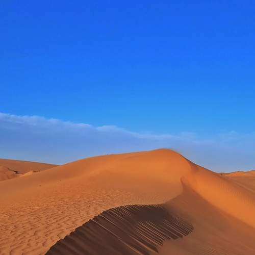 Photo #5926548