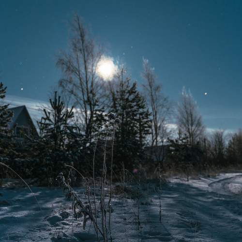 Фотография #5926617