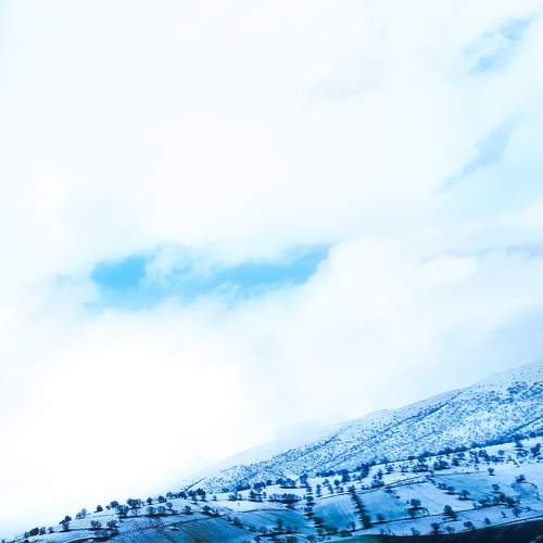 Photo #5926732