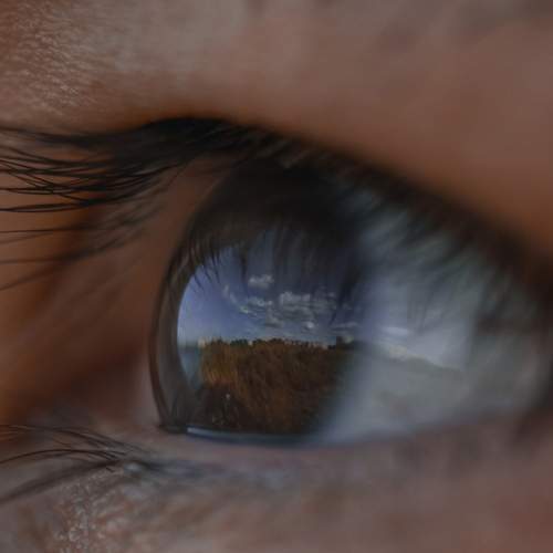 Photo #5926843