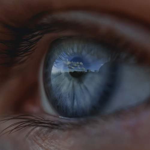 Photo #5926845
