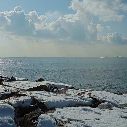 Photo #5927042