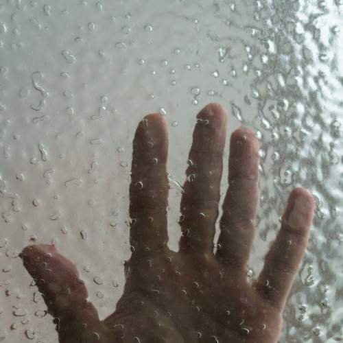 Photo #5927058