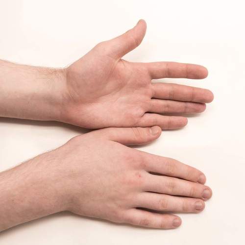 Photo #5927106