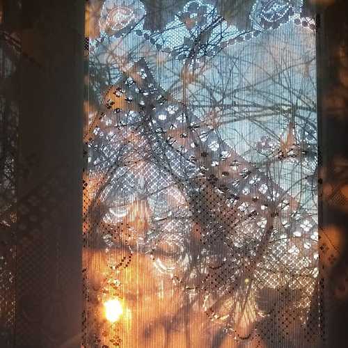 Photo #5927191