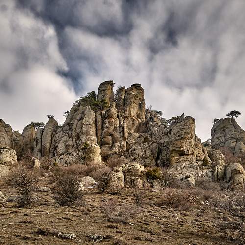 Photo #5927424