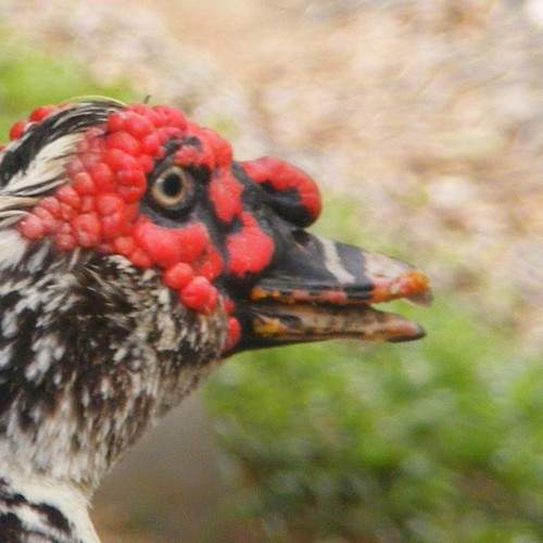Photo #5927867