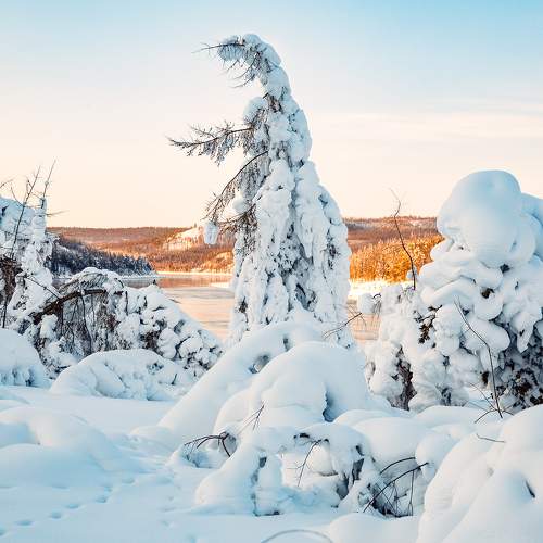 Photo #5927916