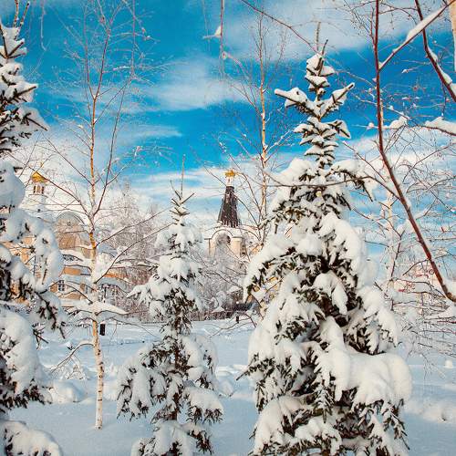 Photo #5927948