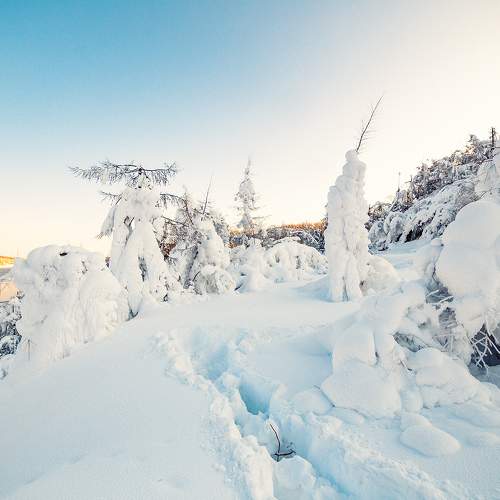 Photo #5927951