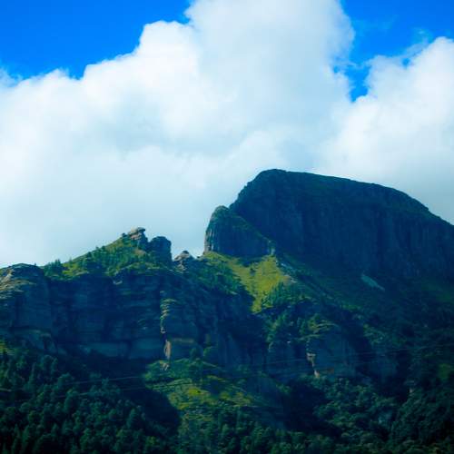 Photo #5927988