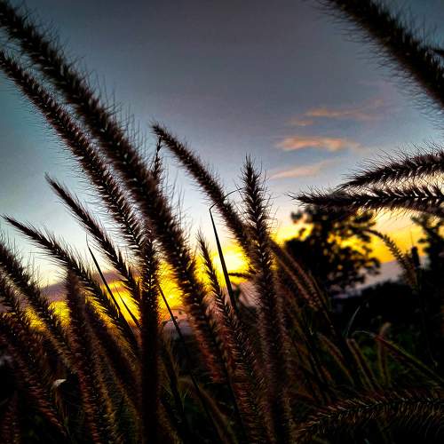 Photo #5928032