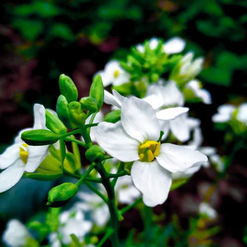 Photo #5928033