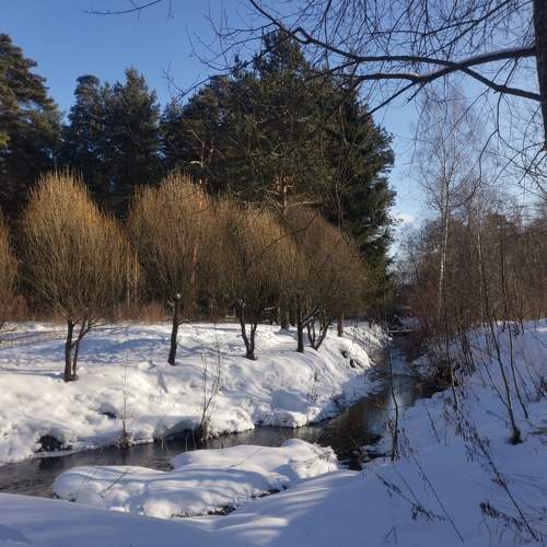 Photo #5928081