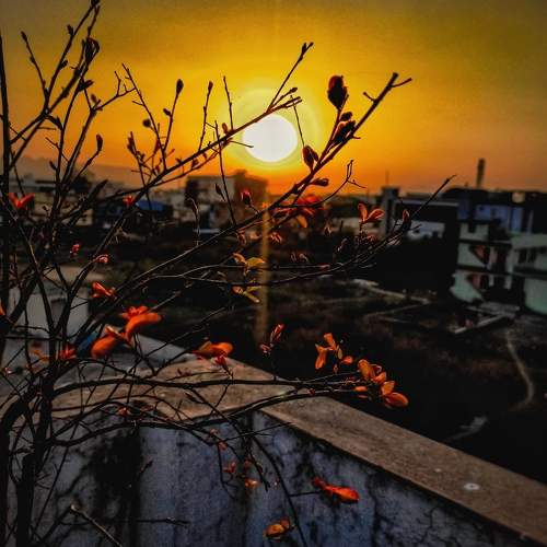Photo #5928157