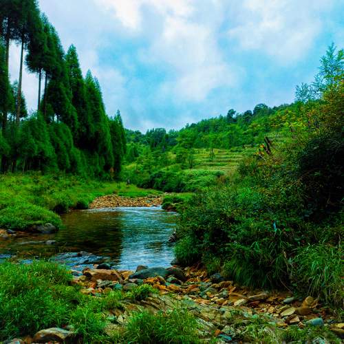 Photo #5928161