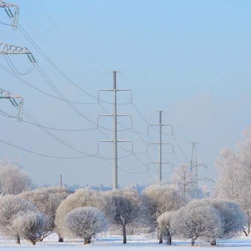 Winter in the city