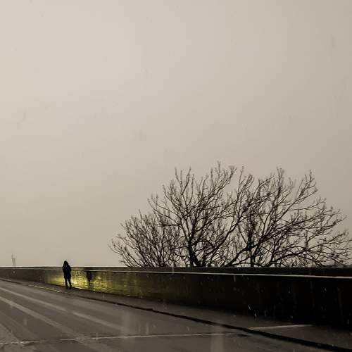 Photo #5928222