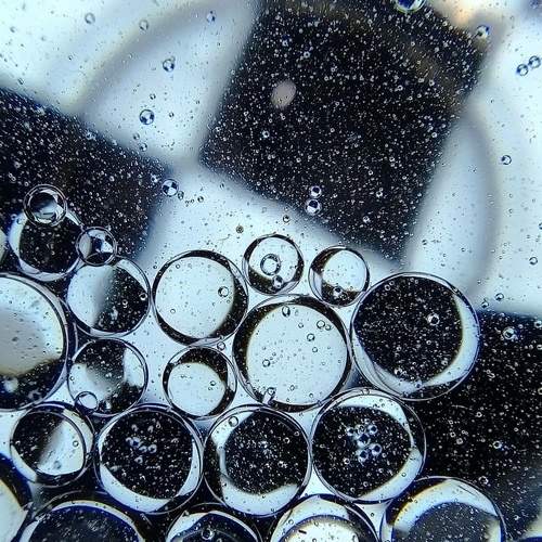 Photo #5928540
