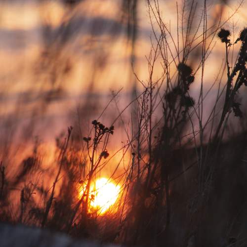 Photo #5929005