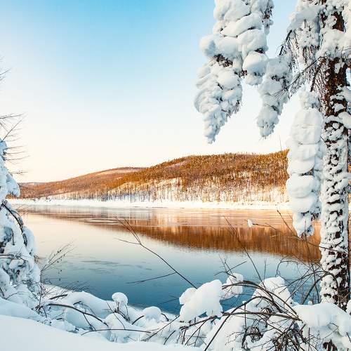Photo #5929084