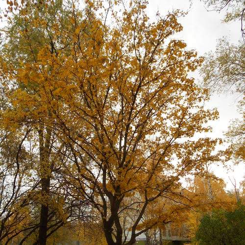 Photo #5929145