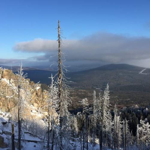 Photo #5929448