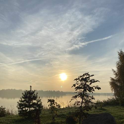 Photo #5929489