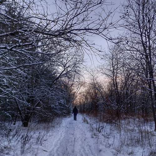 Photo #5929738