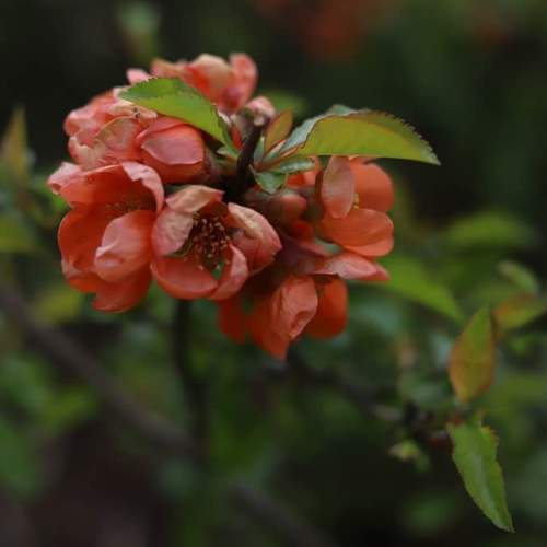 Photo #5929841
